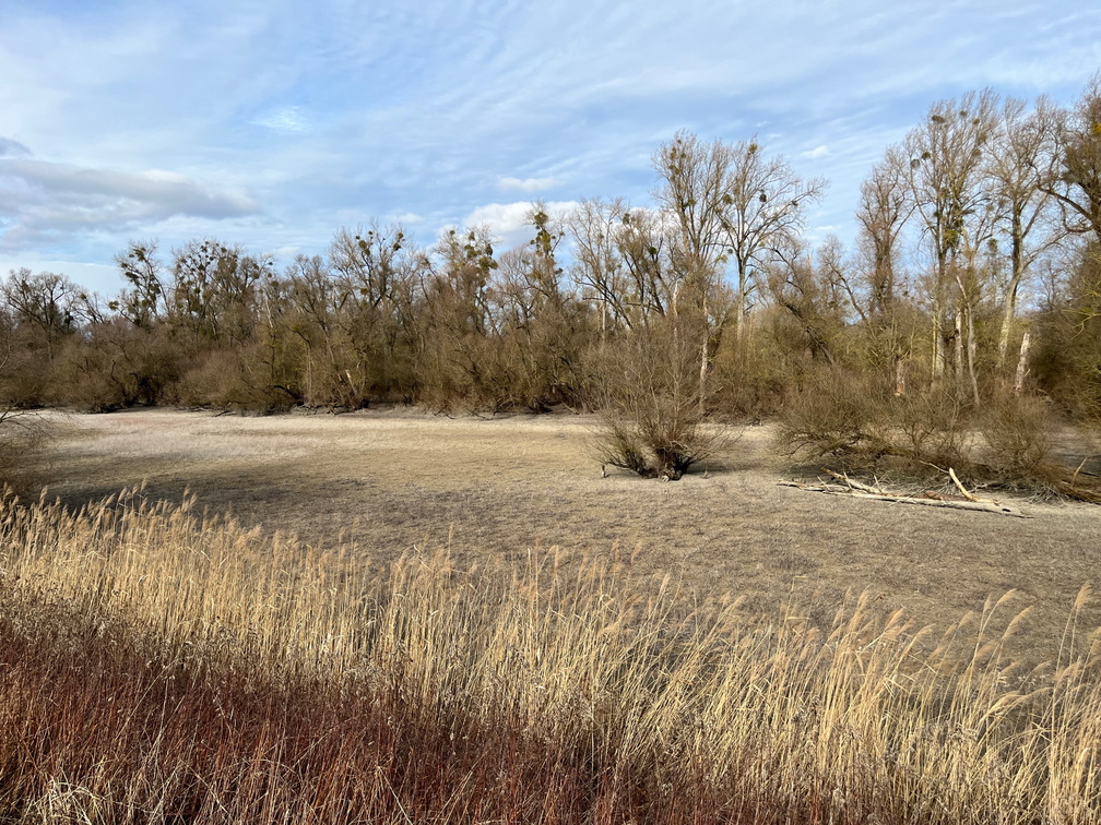 23-02-18 14-23-49 4252